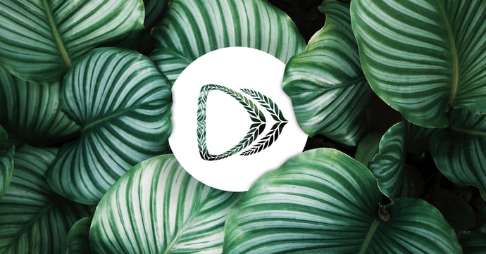 How to Fuel a More Sustainable Future for Business Travel