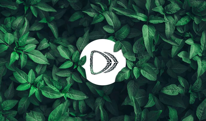How to Resume Your Business Travel and Go Green in the Process