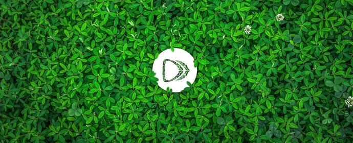 Planting the Seed of Sustainable Corporate Travel this Earth Day
